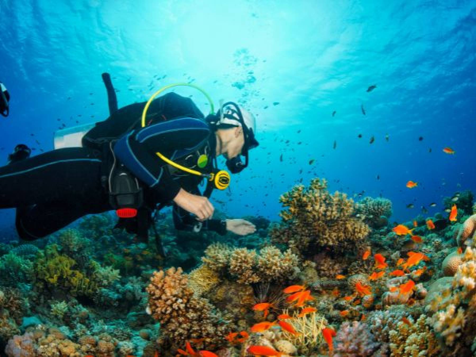 Nurkowanie - pasja i wyzwanie dla miłośników podwodnego świata