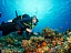 Nurkowanie - pasja i wyzwanie dla miłośników podwodnego świata